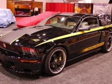 terlingua black mustang pic1