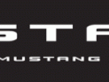 2010 mustang lettering neg