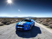 2010 mustang shelby gt500 picture 1 588x400