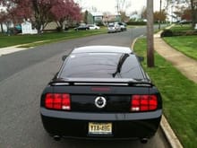 Mustang Rear