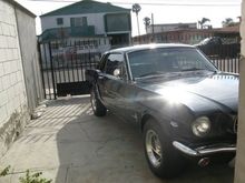 65 Mustang Black Raven3