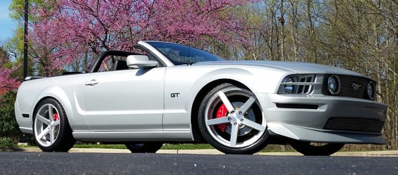 Satin Silver Mustang GT