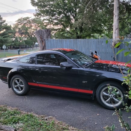 2006 Mustang GT. Haven't personalized yet.