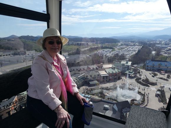 The view from the Wheel with mountains in the distance