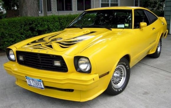 yellow1978kingcobra
