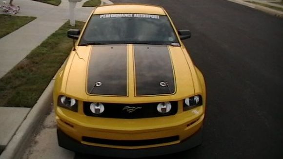 Stang 007