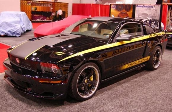 terlingua black mustang pic1