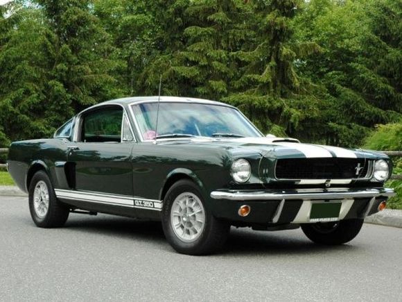 1966shelbygt350 1