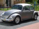 jubilee beetle (untouched)