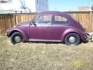 Vern's '67 Beetle