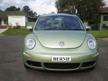 Bernie the beetle :)