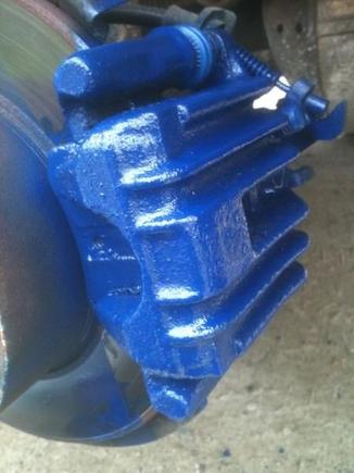 Rear Blue Calipers
