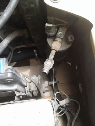 These are the wires, right?
