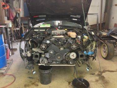 Cradle assembly removed.