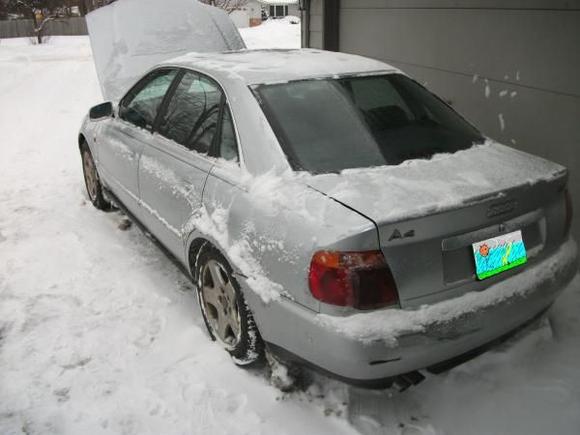 96 Audi Quattro Rear