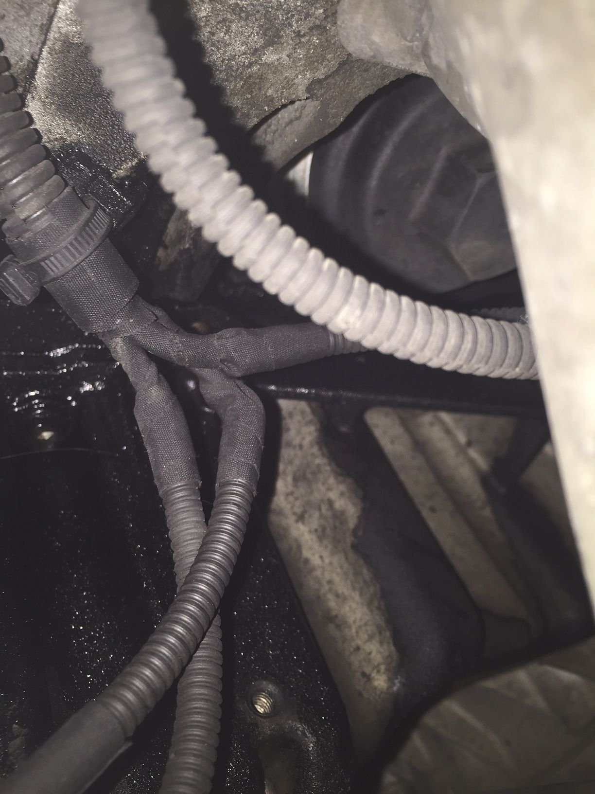 Guidance on oil leak in Audi A4 B8 2.0l CAGA TDI engine (with photos