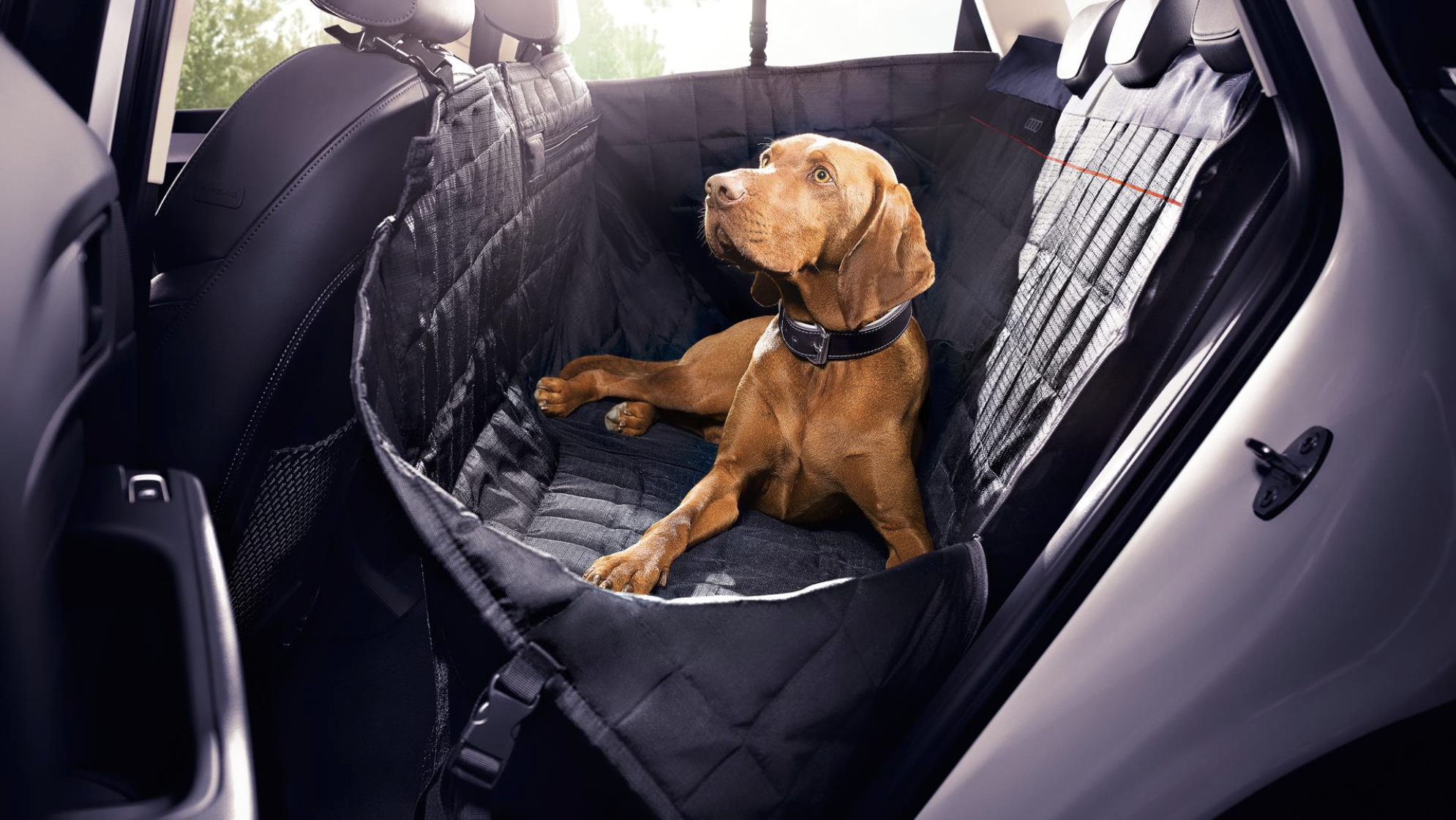 Accessories - Protective Rear Seat Pet Cover - Part #8X0061680A - Used - 2019 to 2023 Audi e-tron - Pleasanton, CA 94566, United States