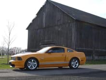 '08 Shelby GT