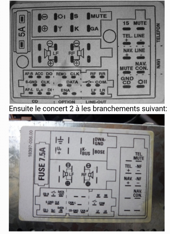 radio wiring - AudiWorld Forums