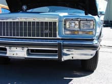 1976 buick electra limited