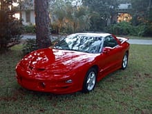 98 Trans Am - 1 day old at the time