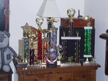 Just some of my trophys