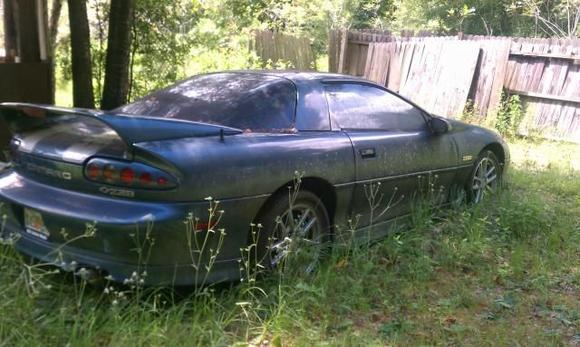 Needs to be washed!!