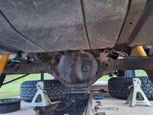 Dana 35