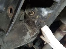 hey there stud