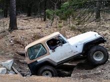 Wild Bill- 3/21/15