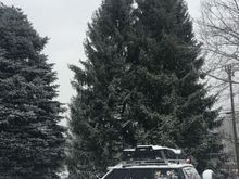 First snow day of the season in Whistler 12/10/18