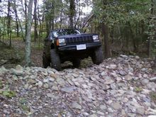 playin in the woods