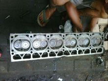 Putih checking