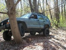 tree climbing