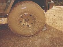 Mud and pig feces(on an old pork farm)