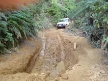 THOMSONS TRACK MAR 08 004[1] LS1 powered Nissan Patrol in the NZ bush, OH look a mud hole !!