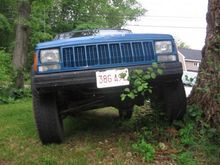 new 31" tires flexin on the tree.