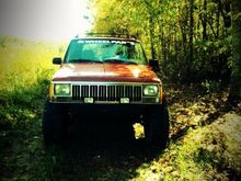 New fog lights