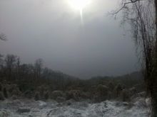 IMG 20101226 100357