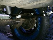 Leaf and rear shock