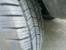 WTF did I drive thru?