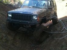 flex test (2)