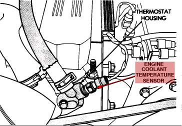 Correct! Is this one.
The other is called a Temperature Sender for the gauge or light in the cluster.