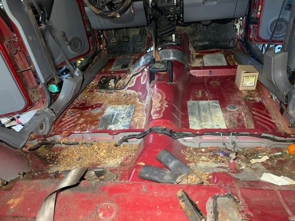 Mouse pee damage, didn’t make it to rust yet