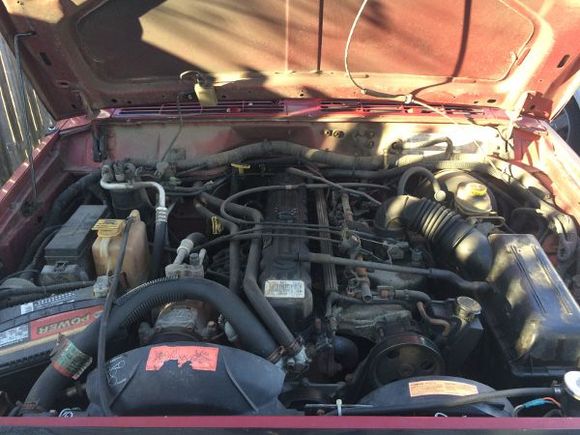 Engine Degreaser - Before.