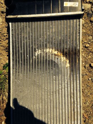 Damnit! Bad motor mounts!