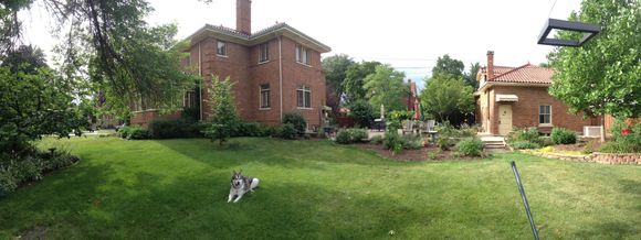 Samson is ours.  That big house... not so much.