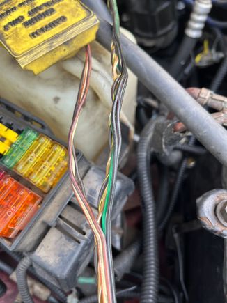 Wiring inside the harness looked good