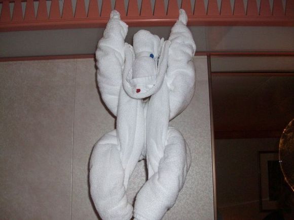 monkey