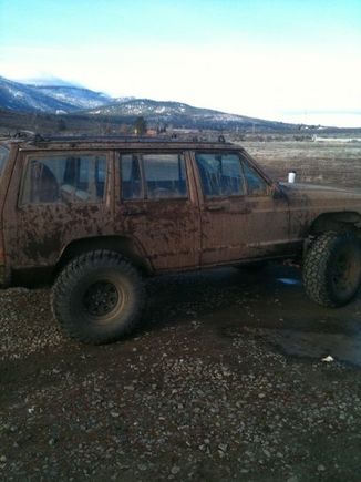 Jeep 2. Brownie.